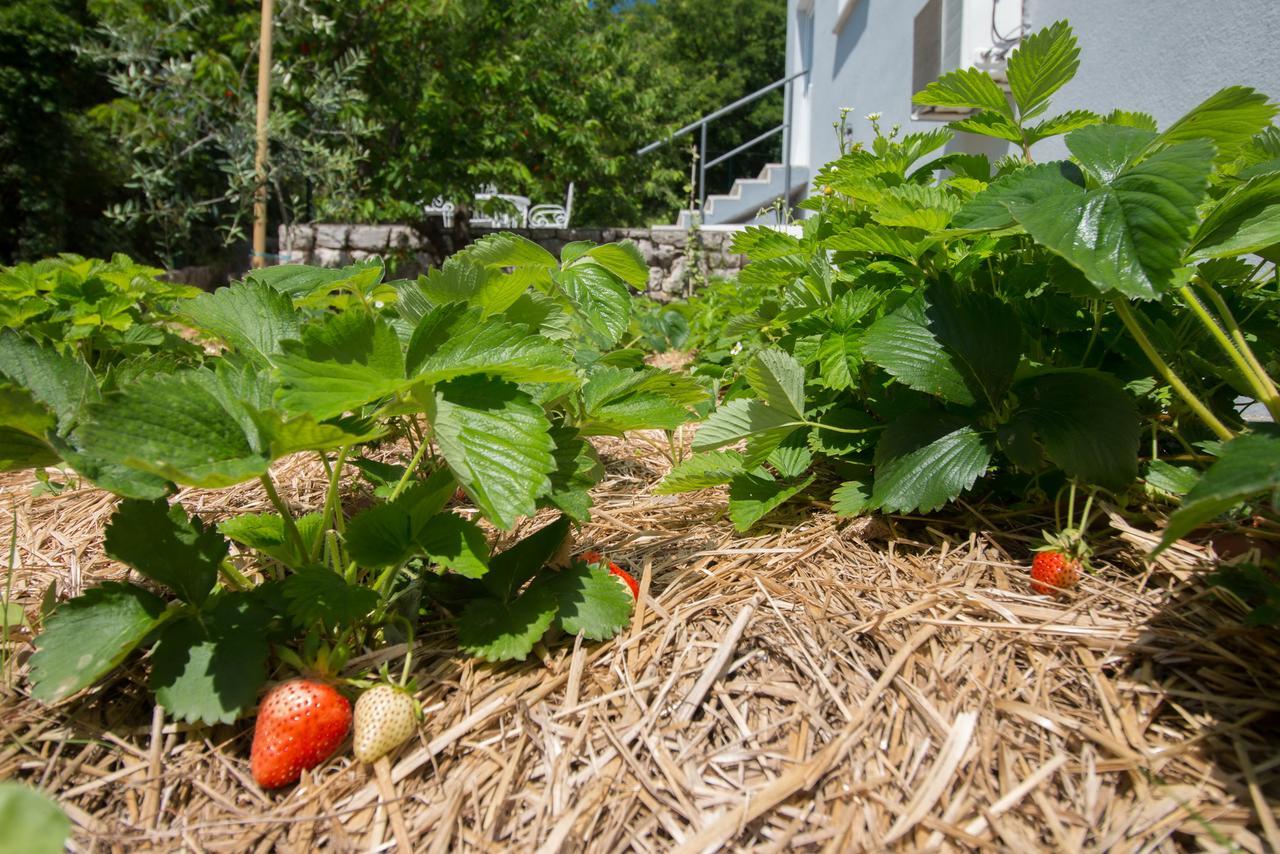 Organic Gardens Villa Crikvenica Buitenkant foto