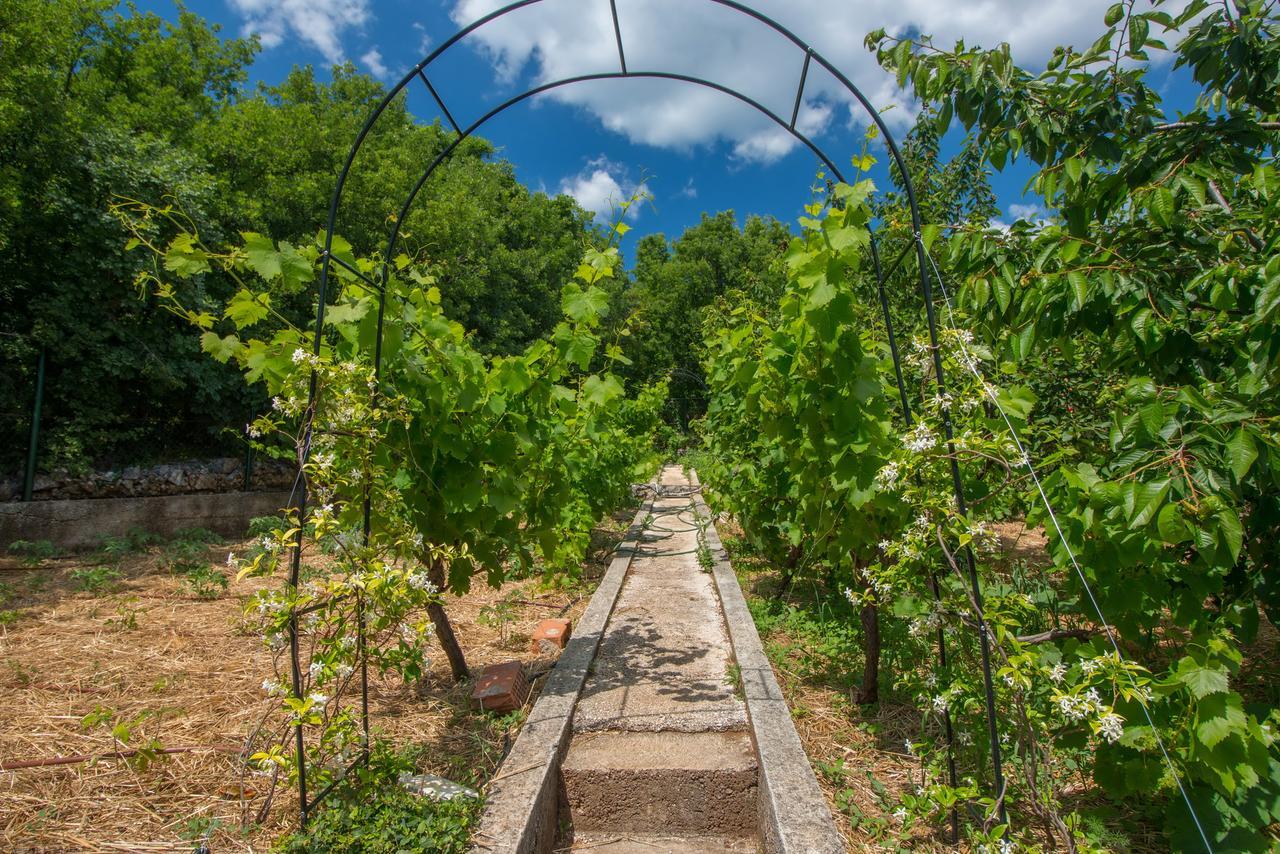 Organic Gardens Villa Crikvenica Buitenkant foto