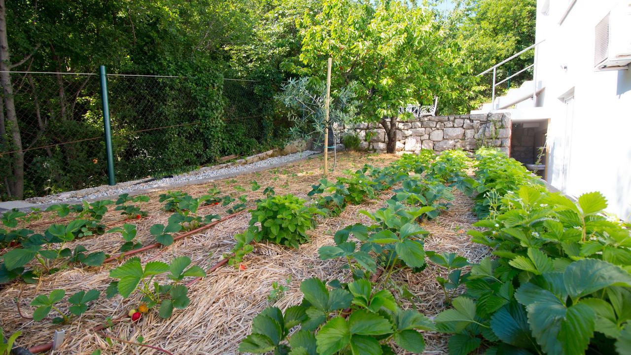 Organic Gardens Villa Crikvenica Buitenkant foto